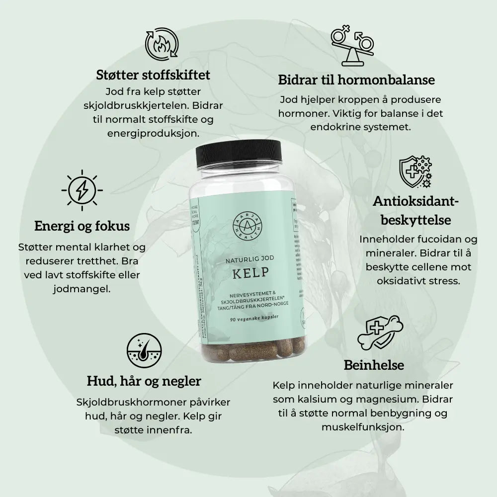 KELP - Naturlig Jod - Bilde 2